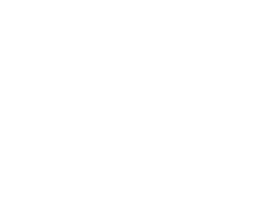 Noto Musica Festival